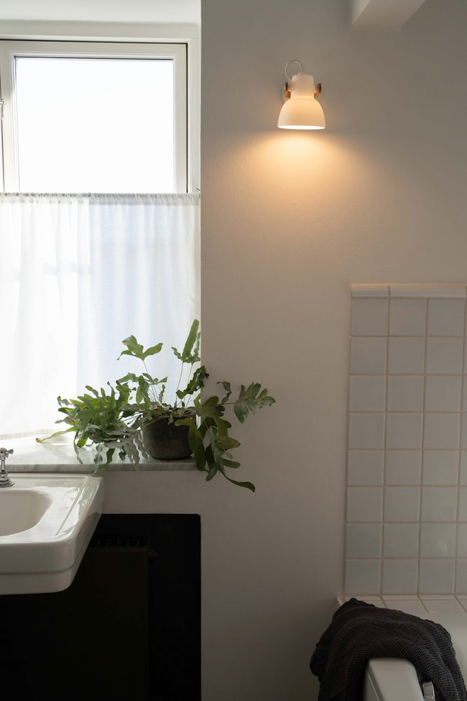 16PLUS Wall Lamp above a bathroom window with a fern plant