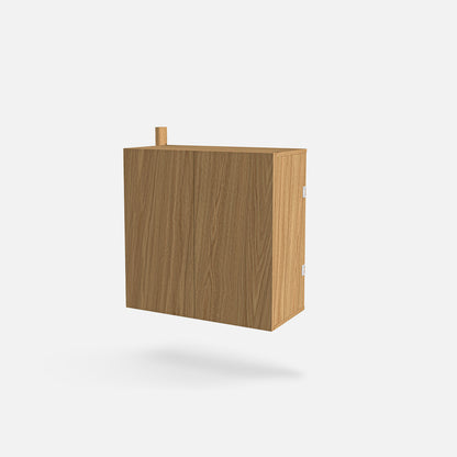 MOD Shelving System Cabinet